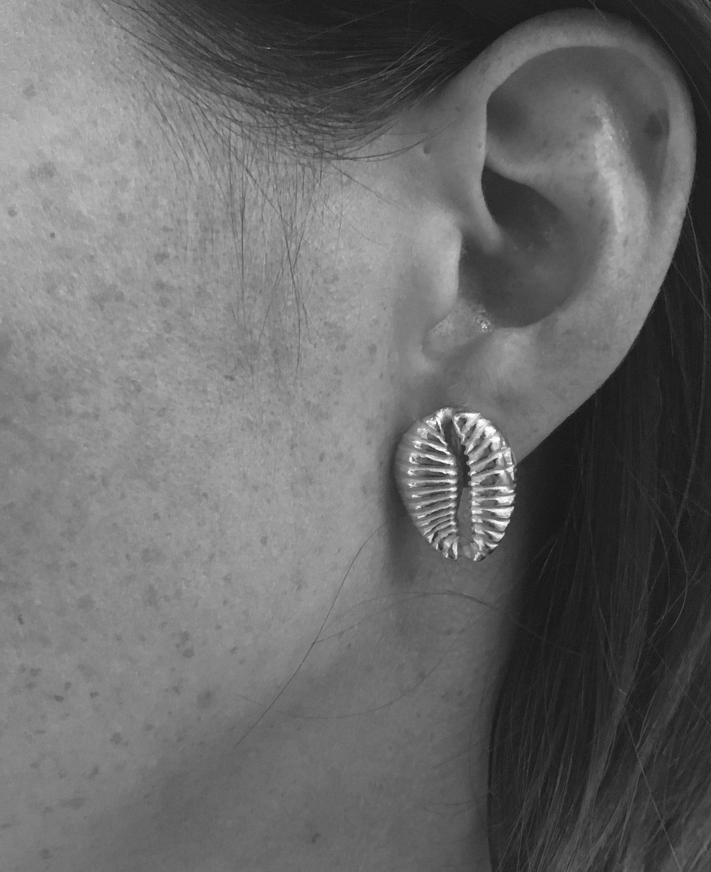 Cowrie stud earrings - Au