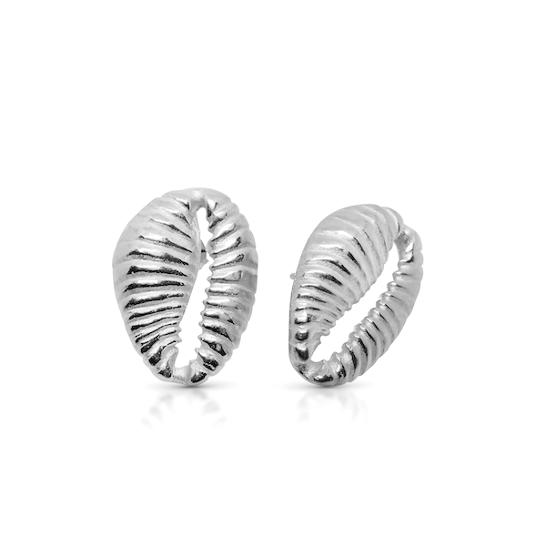 Cowrie stud earrings